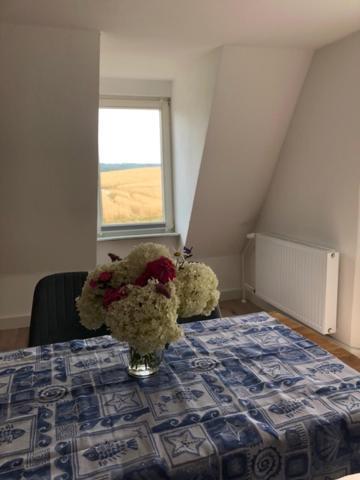 Die Gräfin auf Rügen - Ferienappartements Parchtitz Exterior foto